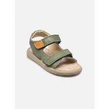 Sandales et nu-pieds July Vert - Naturino - Disponible en 23