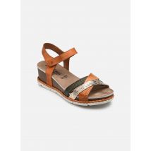 Sandalen GOLD D9320 Multicolor - Dorking - Beschikbaar in 39