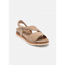Dorking - SPORT D9324 Marrone - Sandali e scarpe aperte - Taglia 37