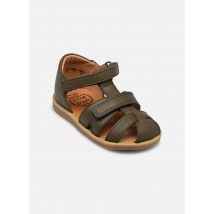 Pom d Api - Poppy Boy Strap Verde - Sandali e scarpe aperte - Taglia 19