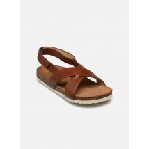 Pom d Api - Groot Cross Marrone - Sandali e scarpe aperte - Taglia 31