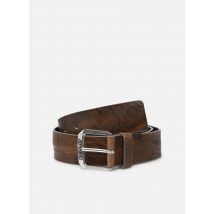 Replay - Gürtel Ceinture boucle logo replay - braun - Größe 100