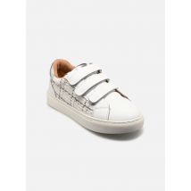 Divine Factory - QL5006 - Blanco - Deportivas