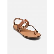 Les Tropéziennes par M Belarbi - Sandalen BADIANE W - Braun - Größe 38