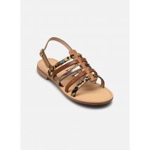 Les Tropéziennes par M Belarbi - Sandalen HAVAGUM - gold/bronze - Größe 41