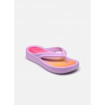 Lemon Jelly - Zehensandalen Adira 02 - lila - Größe 37