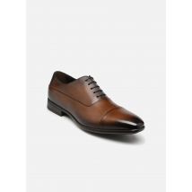Doucal's - DU3020 Marrone - Scarpe con lacci - Taglia 44