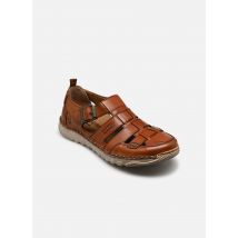 Josef Seibel - Sandalen Wilson 08 - braun - Größe 40