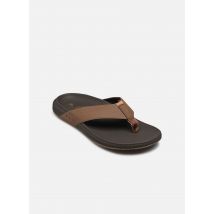 Reef - Zehensandalen The Raglan - braun - Größe 45