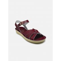 Salt-Water - Sandalen Swimmer Adult - weinrot - Größe 39