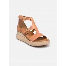 Mjus - Sandalen TIPA T18014 - braun - Größe 38