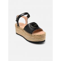 Love Moschino - Sandalias ROPE SANDAL JA16306I0I - Negro - Talla 40