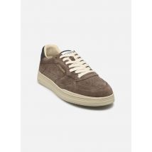 Pompeii ELAN SUEDE HYDRO Marron - Baskets - Disponible en 44