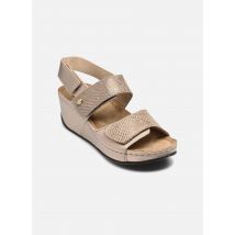 Sandalen ABERDEEN WEDGE SANDAL COMFORT Beige - Scholl - Beschikbaar in 39