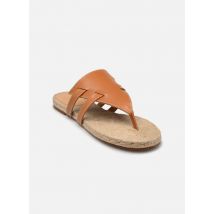 Castaner - Zuecos PIARA - Marrón