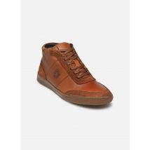Marvin&Co - Walter - Bruin - Sneakers - Maat 43