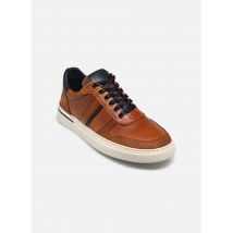 Marvin&Co Wasebal Marron - Baskets - Disponible en 40