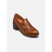 Mocassins Llanes W7H-3873C1 Marron - Pikolinos - Disponible en 41