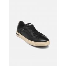 Pikolinos Xativa M1K-6307C1 Noir - Baskets - Disponible en 41