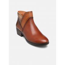 Bottines et boots Daroca W1U-8732C3 Marron - Pikolinos - Disponible en 37