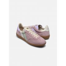 Caval PULSE W Violet - Baskets - Disponible en 39