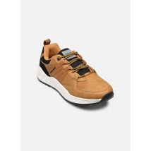 Jack & Jones JFWWARRICK COMBO SNEAKER Marron - Baskets - Disponible en 43