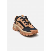 Caterpillar - INTRUDER 9 Marrone - Sneakers - Taglia 45