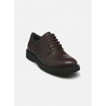 Schnürschuhe Norman K100998 Braun - Camper - Größe 43
