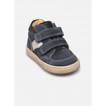 Stiefeletten & Boots Formidable Velcro Blau - Babybotte - Größe 21