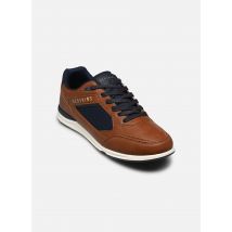 Redskins AURORI 2 Marron - Baskets - Disponible en 41