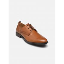 Redskins - Schnürschuhe CAMDEN - braun - Größe 42