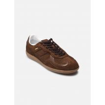 Alohas - Tb.490 Rife - braun - Sneaker - Größe 42