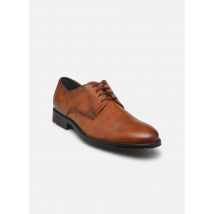 Lloyd - Schnürschuhe DAVENPORT - braun - Größe 41