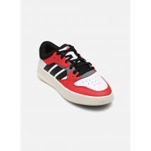 adidas sportswear - Court 24 M - mehrfarbig - Sneaker - Größe 42