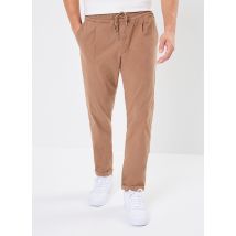 Replay Pantalon chino Marron - Disponible en 28 X 30