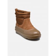 UGG - Stiefeletten & Boots M CLASSIC MINI MOD - braun - Größe 43