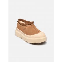 UGG M Tasman Weather Hybrid Marron - Bottines et boots - Disponible en 41