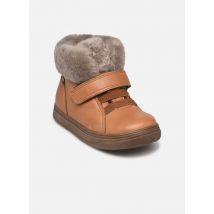 Froddo - Botines Basco tex - Marrón