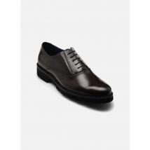 Chaussures à lacets Hector Marron - Brett & Sons - Disponible en 43