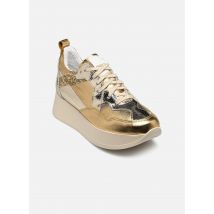 Sweet Lemon - L.73.BIBLOS - gold/bronze - Sneaker - Größe 36