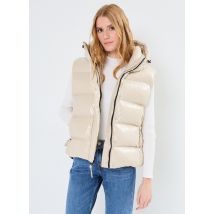 Napapijri - Kleding A-GLANE V W - Zilver - Maat L