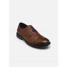 Comfeet - Schnürschuhe COMO M05026 - braun - Größe 43