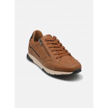Comfeet - ANTRIM​ M00551 - Bruin - Sneakers - Maat 41