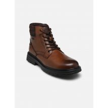 Comfeet - MAYOR M05190 Marrone - Stivaletti e tronchetti - Taglia 42