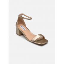 Steve Madden - Sandalias Gena - Oro y bronce - Talla 36