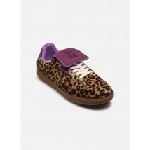 Steve Madden - Ethora-L - Marrón - Deportivas - Talla 39
