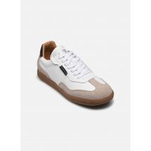 Steve Madden Emporia Multicolore - Baskets - Disponible en 37