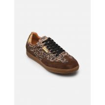 Steve Madden Emporia Mehrfarbig - Sneaker - Größe 36