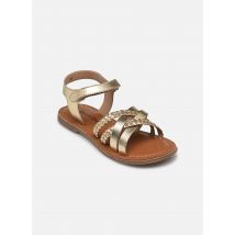 Rose et Martin - Sandalen KILINE - Gold - Größe 31