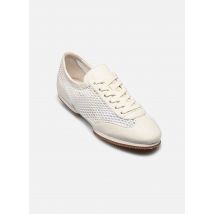 Polo Ralph Lauren - SWN BLRINA-SNEAKERS-LOW TOP LACE DW - weiß - Sneaker - Größe 39
